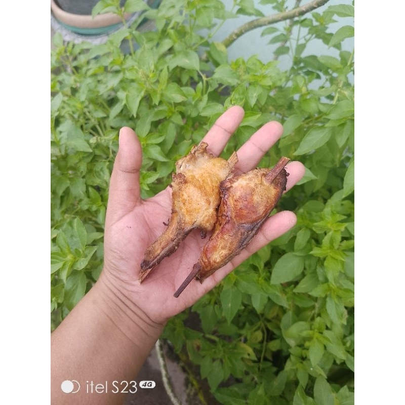 

1 pcs ikan mangut fresh BONUS daun kemangi