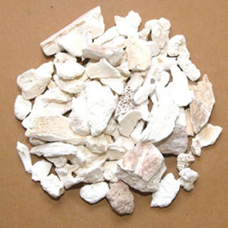 

100gr 龙骨 Long Gu Dragon Bone Os Draconis