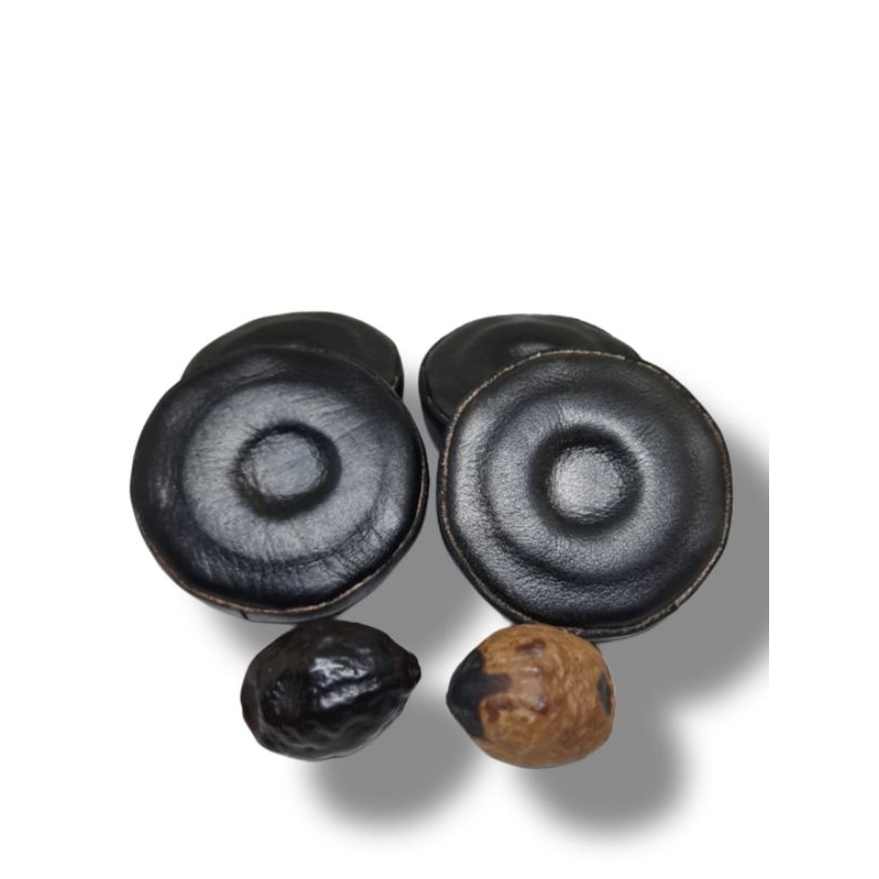 GROSIR Kili kili muncang | kili kili kulit asli full kulit buat adu muncang