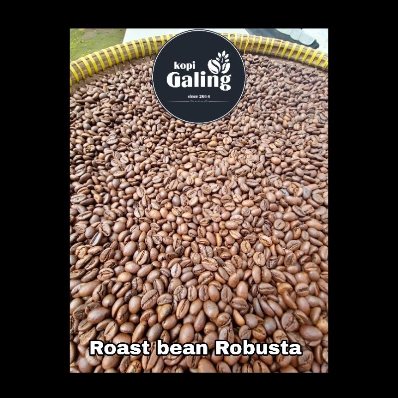 

ROAST BEAN ROBUSTA GALING BIJI KOPI SANGRAI 1kg