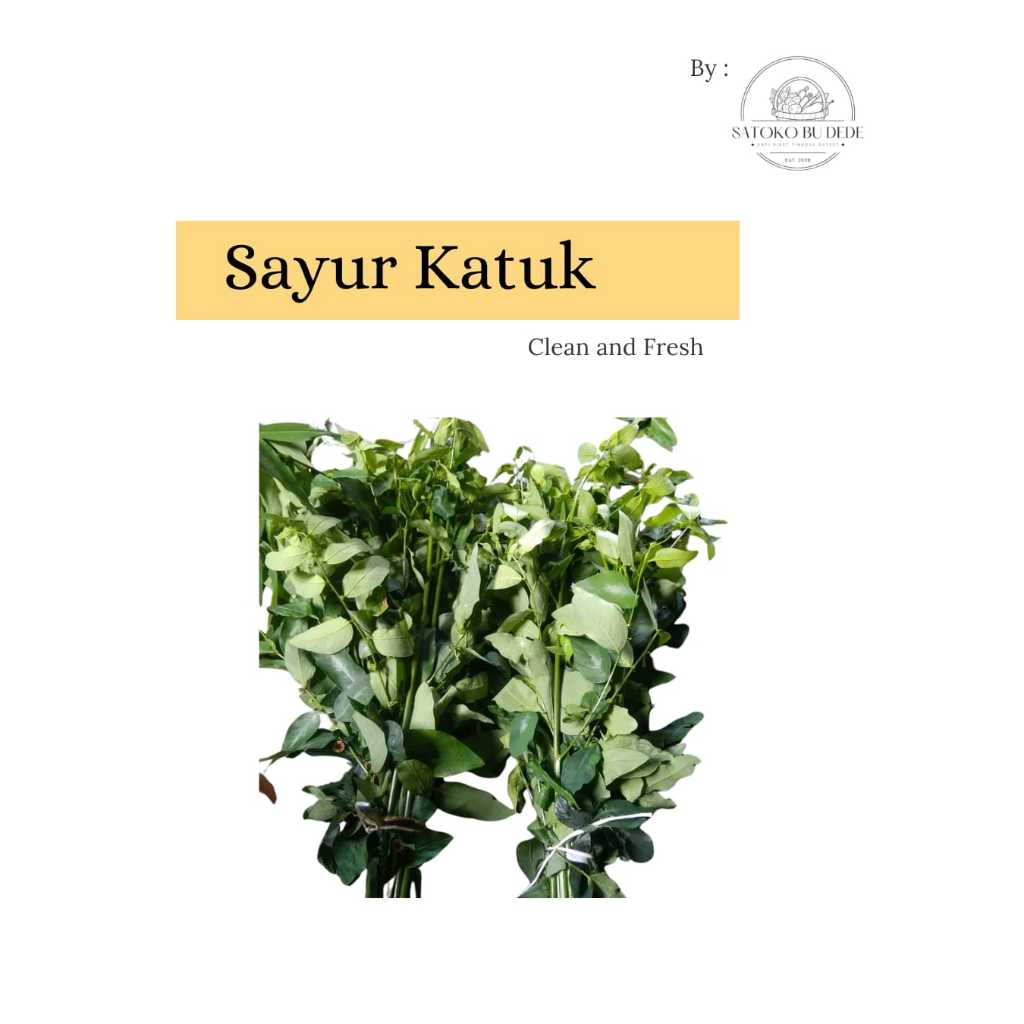 

Sayur Katuk