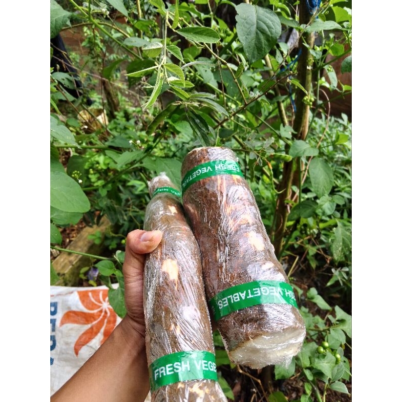 

SINGKONG FRESH ALAMI SEHAT TANPA PENGAWET DAN BEBAS DARI BAHAN KIMIA