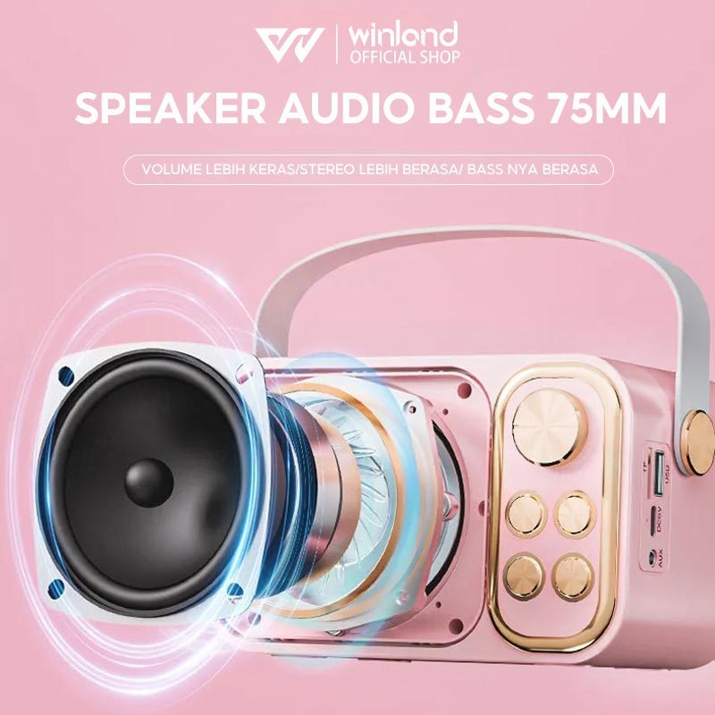 NEW [COD] Winland Speaker bluetooth Karaoke 2 mic Recommend karaoke speaker Set ktv Bluetooth Mini