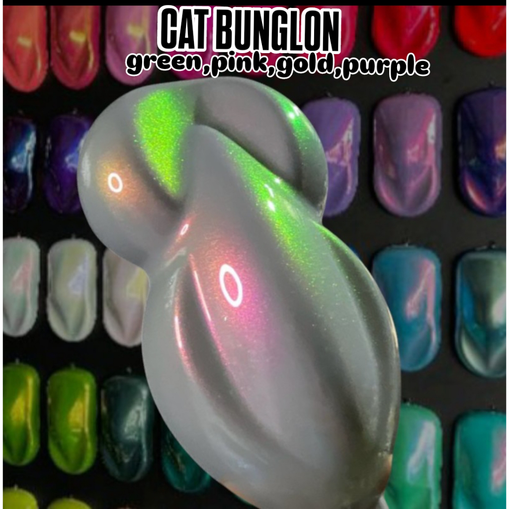 Cat Bunglon green pink gold purple cat motor & mobil