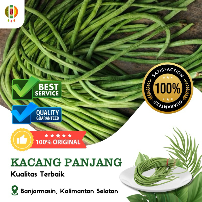 

Kacang Panjang Fresh