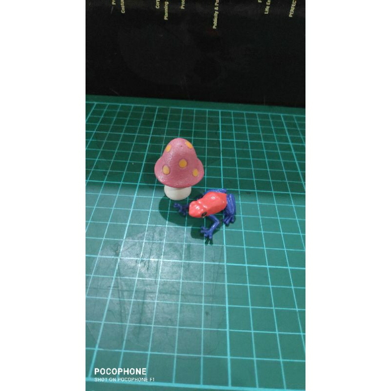 colorata dart frog + mushroom