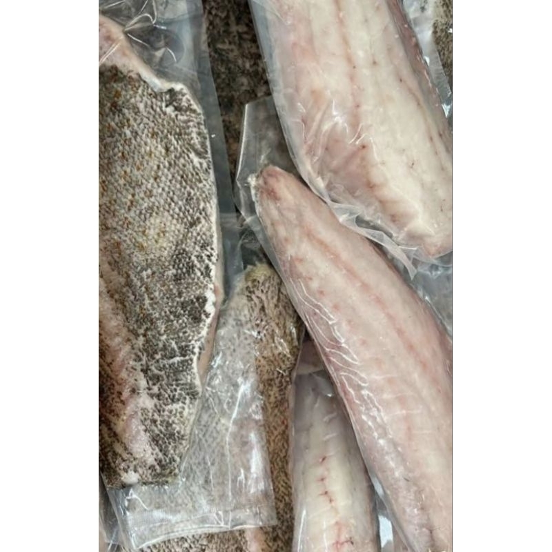 

kerapu filet ada kulit tanpa tulang