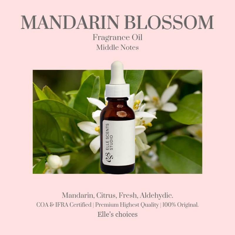 MANDARIN BLOSSOM Fragrance Oil