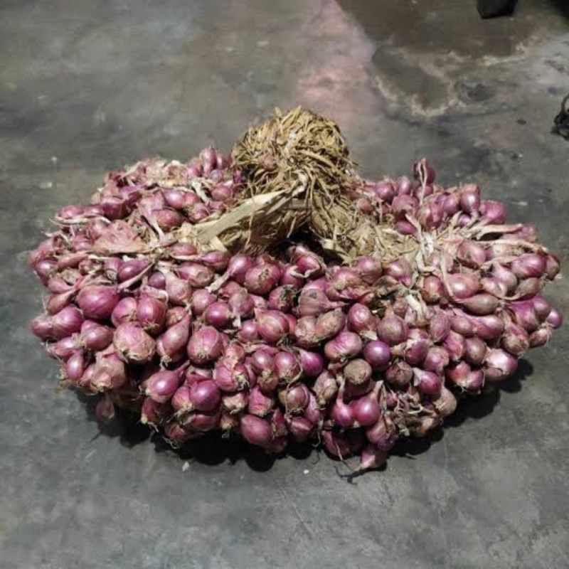 

bamer lokal nganjuk