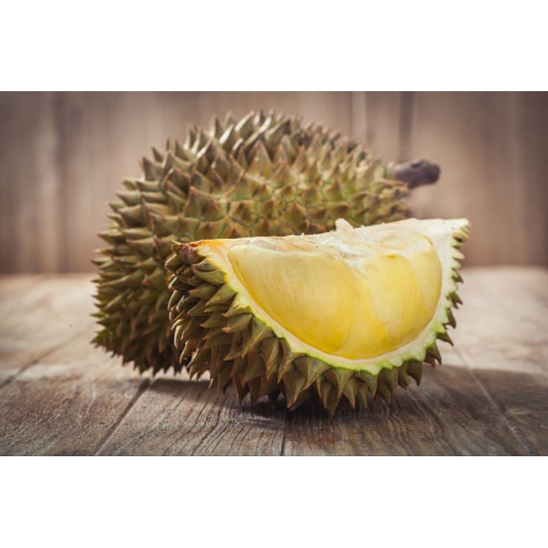 

durian ready