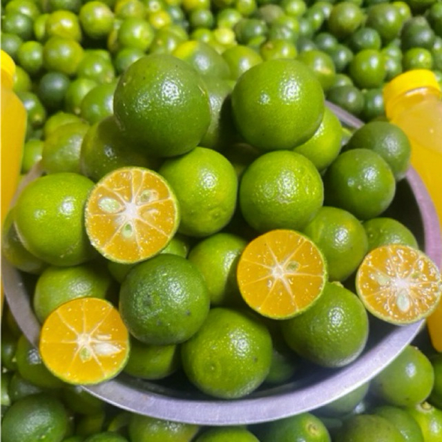 

(1KG)Jeruk sonkit,jeruk kasturi,rasa asam segar ukuran(BESAR)(1KG)