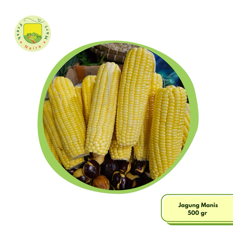 

Jagung Manis Fresh 500 gr (Sayur Segar)
