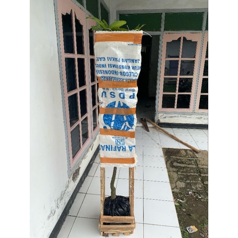 

TAMBAHAN PACKING KAYU UNTUK FULL MEDIA