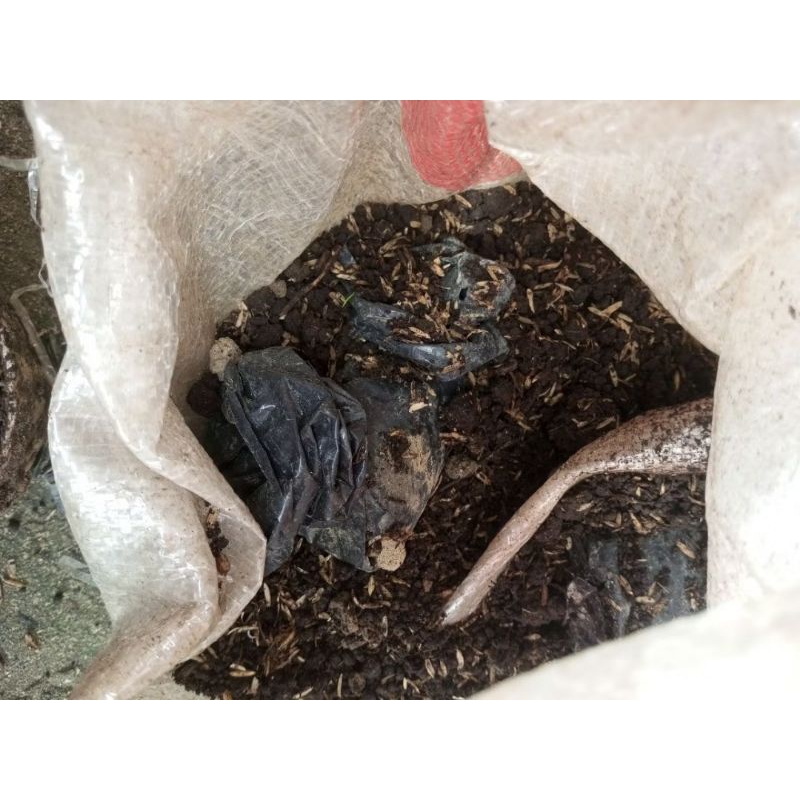 TANAH HITAM /MEDIA TANAM SIAP PAKAI KEMASAN/KOMPOS MEDIA TANAM/MEDIA TANAM SUBUR SIAP PAKAI/