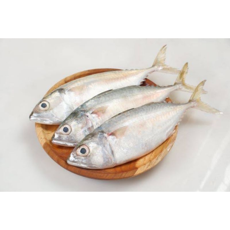 

Ikan Kembung Banjar