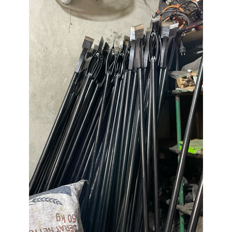 Dodos kastrasi kelapa sawit