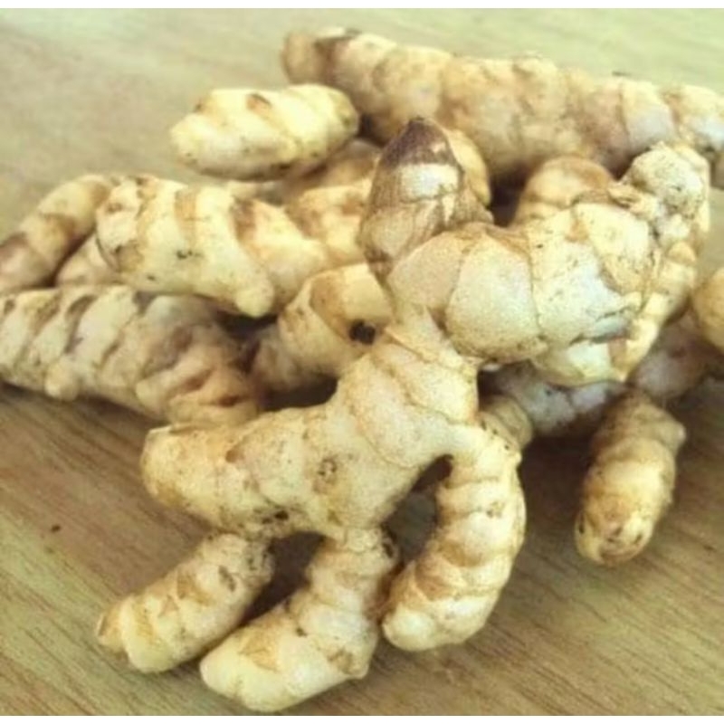 

500 gram /1/2kg JAHE GAJAH ASLI Fresh BERSIH TERLARIS TERMURAH