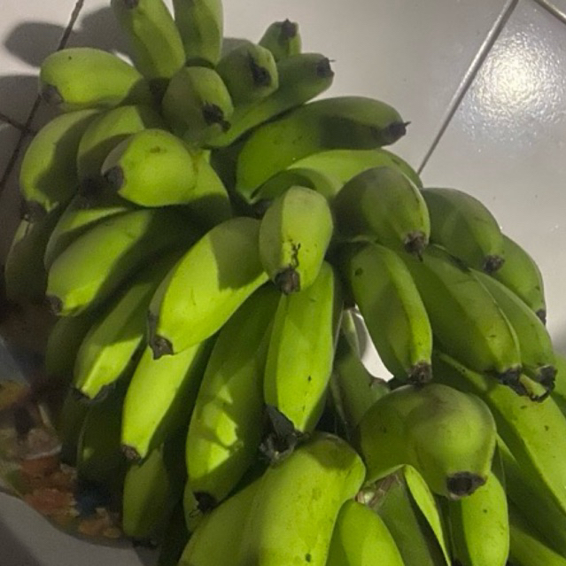 

Buah Pisang Matah JG Hijau 10 Pisang Matah