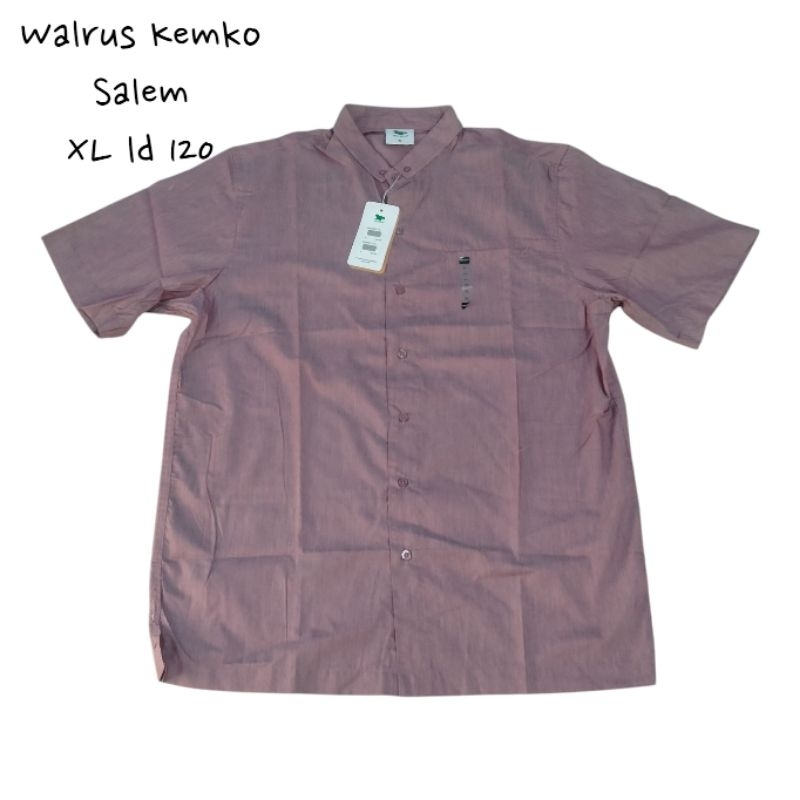 Walrus Kemko/ Koko Polos