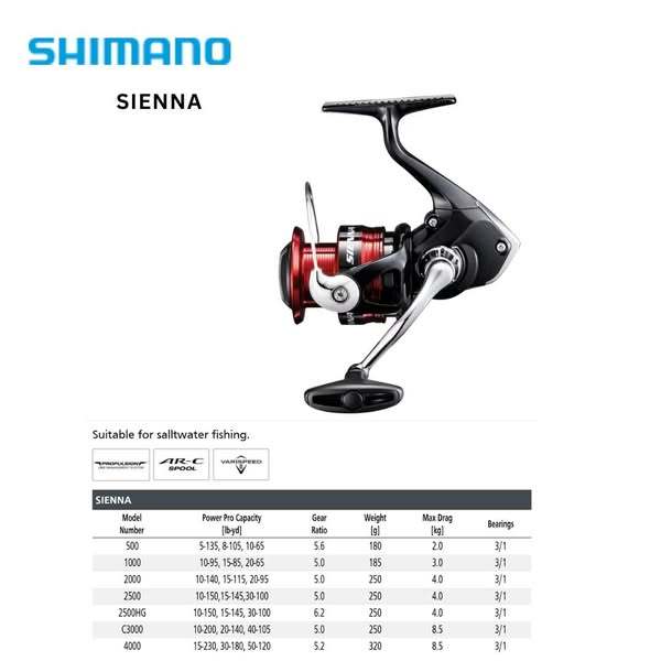 Reel Spinning Shimano Sienna – Gear Ratio 5.0:1 - 6.2:1 | Max Drag 3kg - 8.5kg | AR-C Spool
