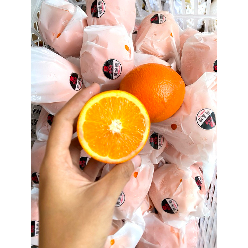 

jeruk sunkist navel beget import per/kg