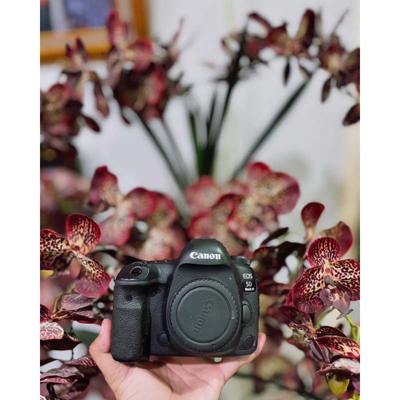 canon 5d mark 4 bukan canon 5d mark 3 bukan canon 5d mark 2 bukan canon 6d mark 2