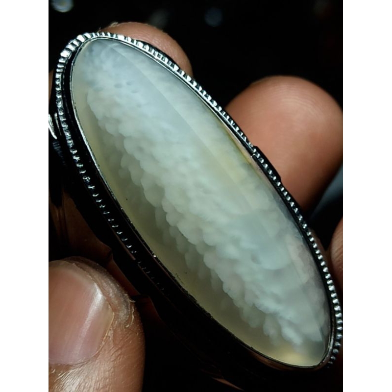 PANDAN KAPAS SEMU SISIK BETOK