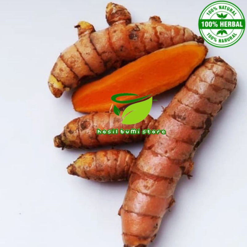 

rimpang kunyit segar 1kg