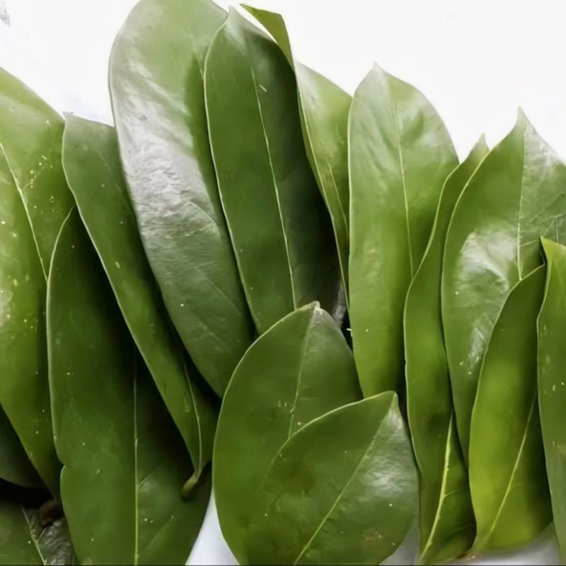 

Daun Sirsak Fres Segar Isi Per 1Kg Herbal