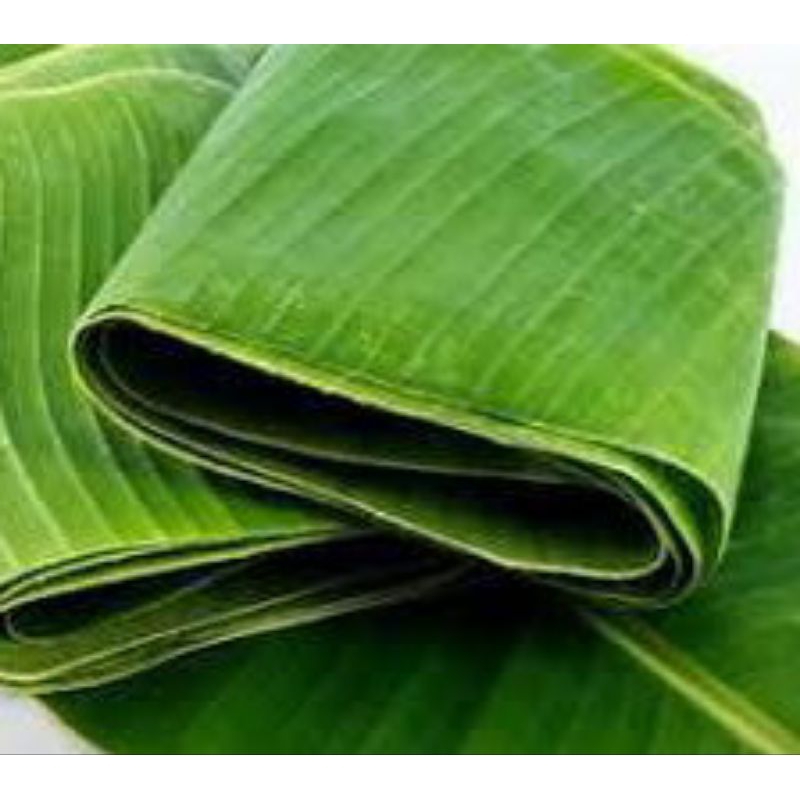 

DAUN PISANG FRESH 1KG, UKURAN PANJANG DAN LEBAR