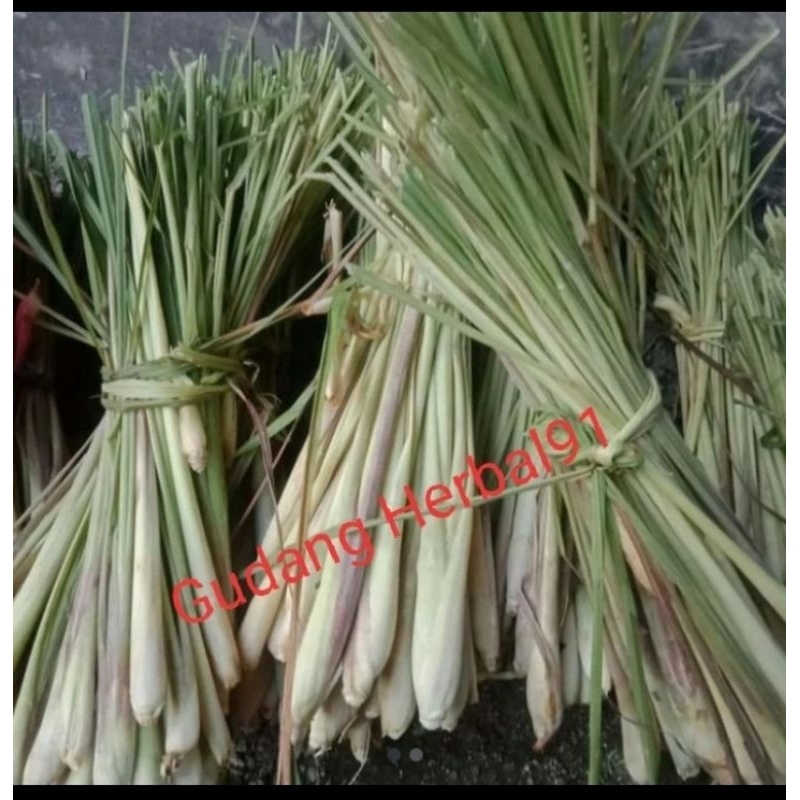 

sereh basah serai segar 1 kg