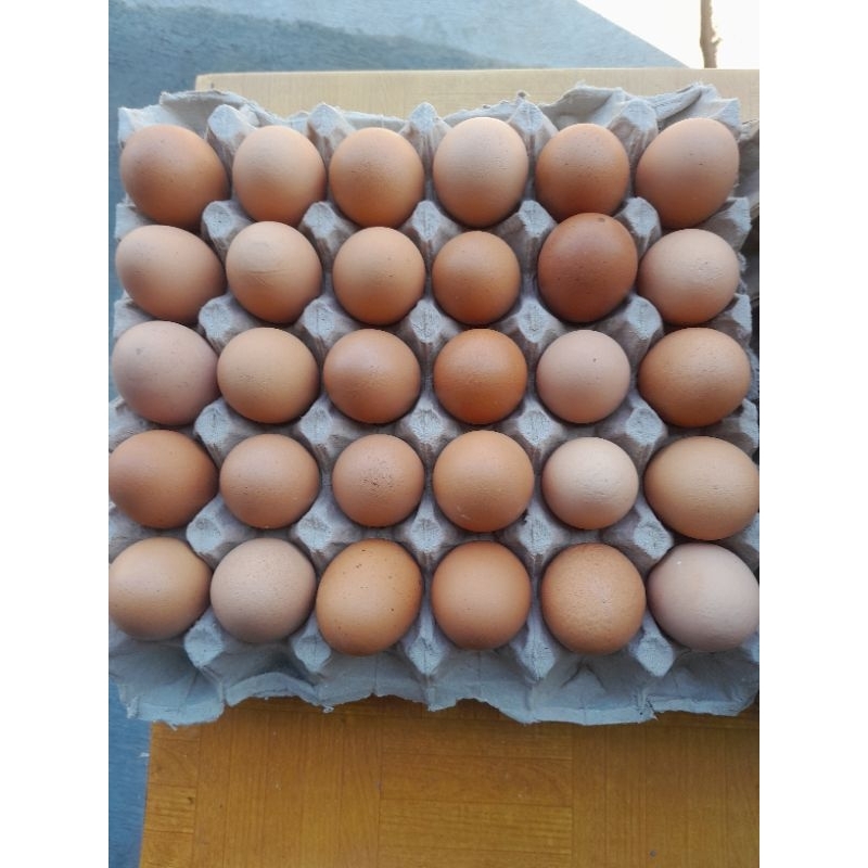 

Telur ayam negri 1tray bandung