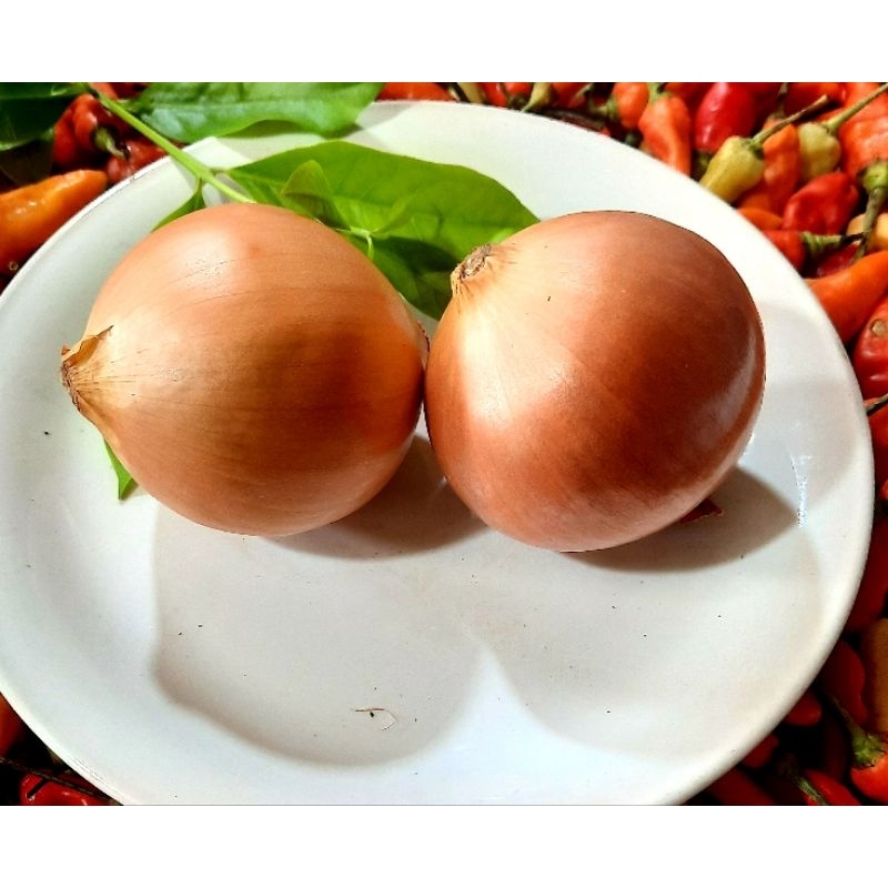 

Bawang Bombay 250 Gram