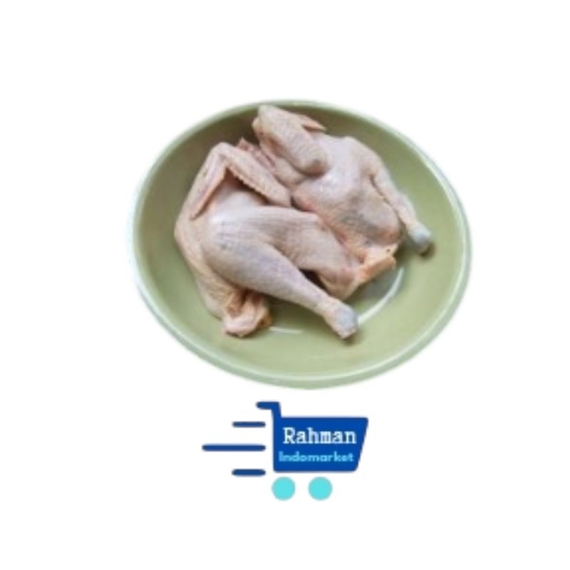 

AYAM KAMPUNG 1EKOR berat ±900-1000gr