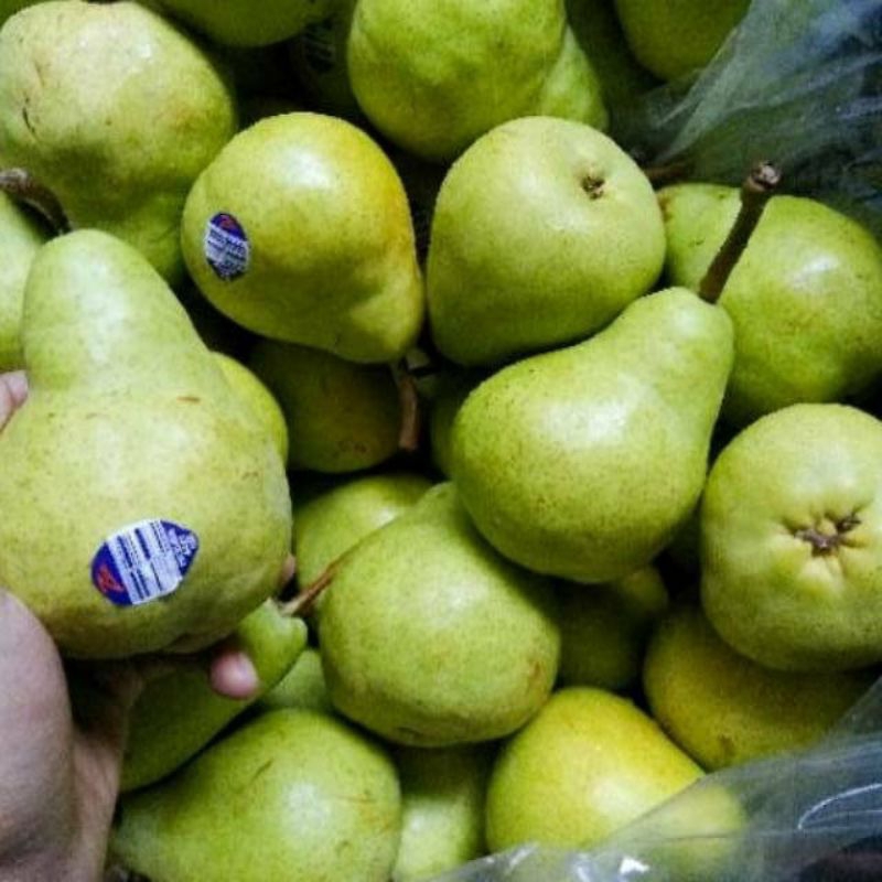 

PEAR HIJAU PER 1KG