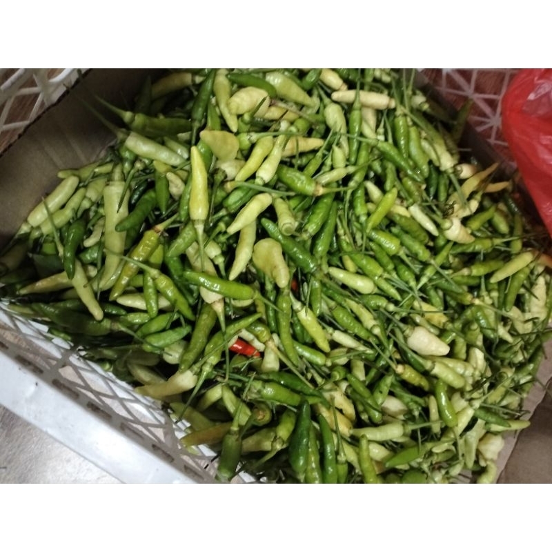 

CABE RAWIT/LOMBOK/CABE RUMAHAN/ BUMBU DAPUR/BUMBU RUMAHAN/SAMBAL PEDAS