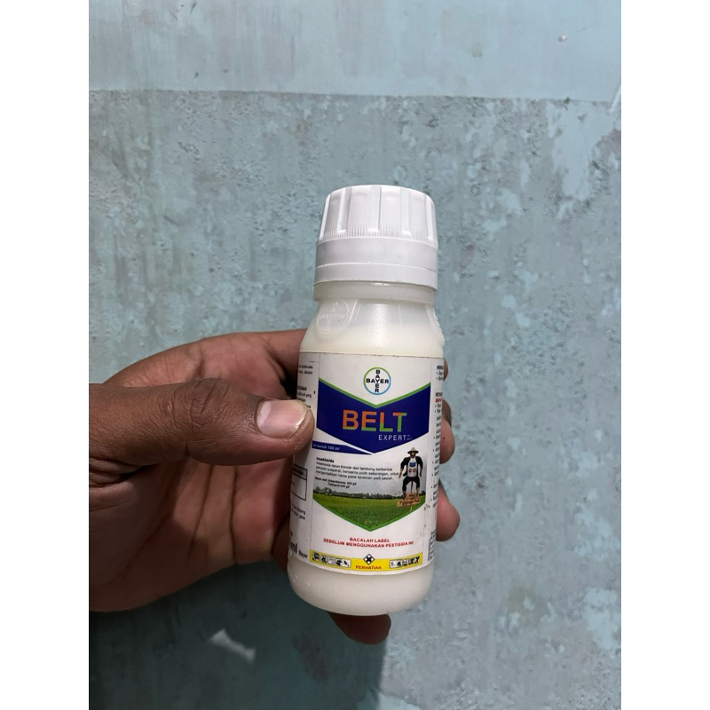 BELT expert 480 sc 100ml