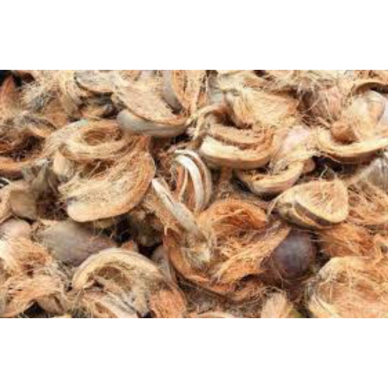 kulit kelapa kering atau sabut kelapa