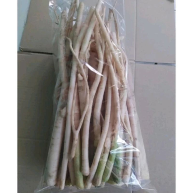 

AKAR PEPAYA SEGAR 1KG