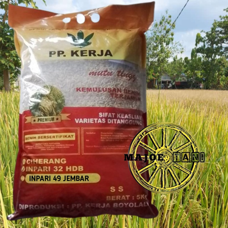 Benih padi inpari 49 jembar 5kg