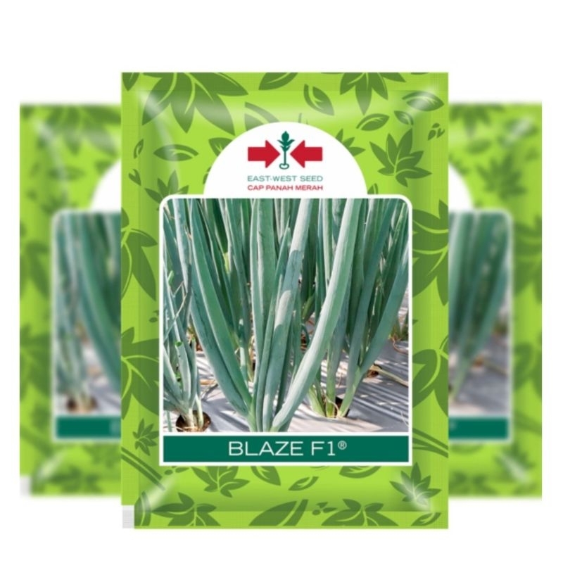 Benih Daun Bawang Blaze F1 Cap Panah Merah