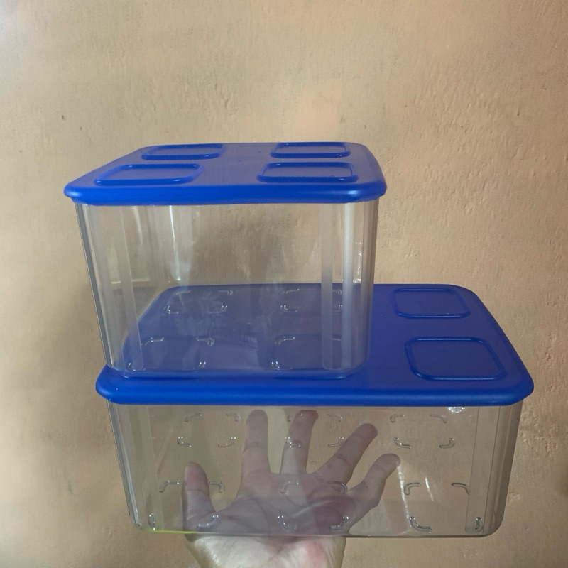 NEW // Fresh clear/ Clear Bowl tupperware ori