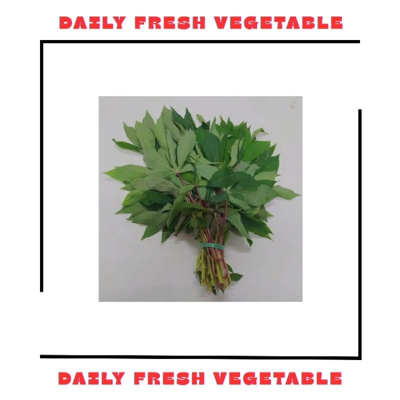 

Daun Singkong Fresh 1 Ikat
