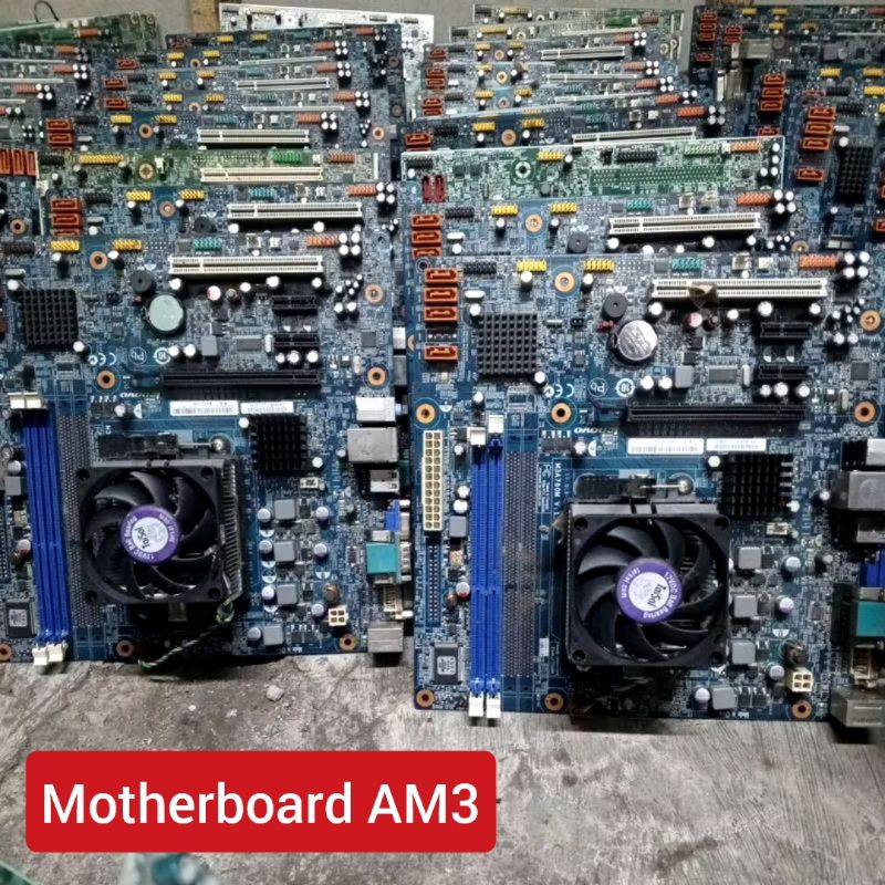 Motherboard AM3 Paketan Fan Prosesor