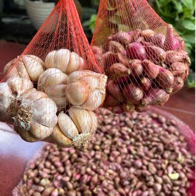 

PAKET BAWANG MERAH DAN BAWANG PUTIH 1 KG MURAH BERKUALITAS