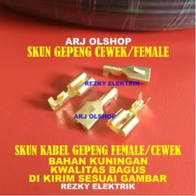 SKUN RELAY SKUN SKUN KLAKSON SKUN TWEETER SKUN MOTOR MOBIL / SKUN KABEL GEPENG