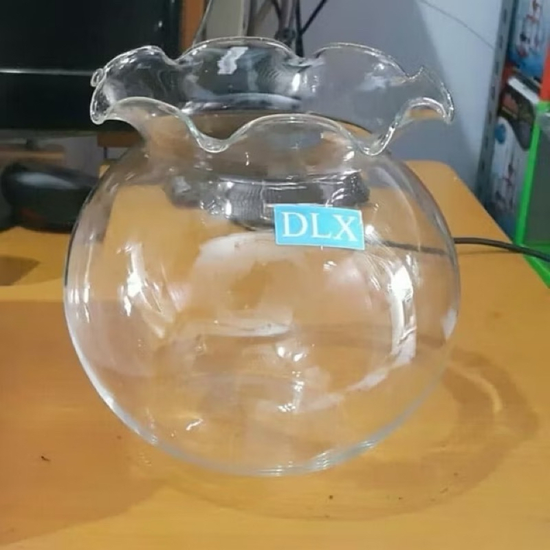 aquarium jerek dlx kaca