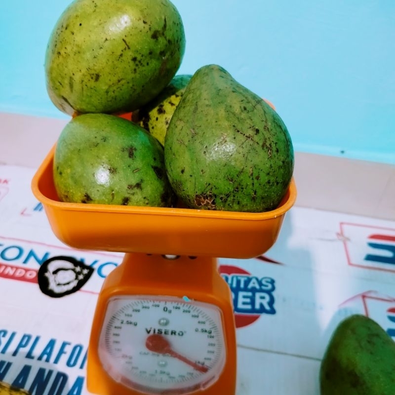 

PROMO!!! alpukat mentega masak UNTUK HARI INI AJA