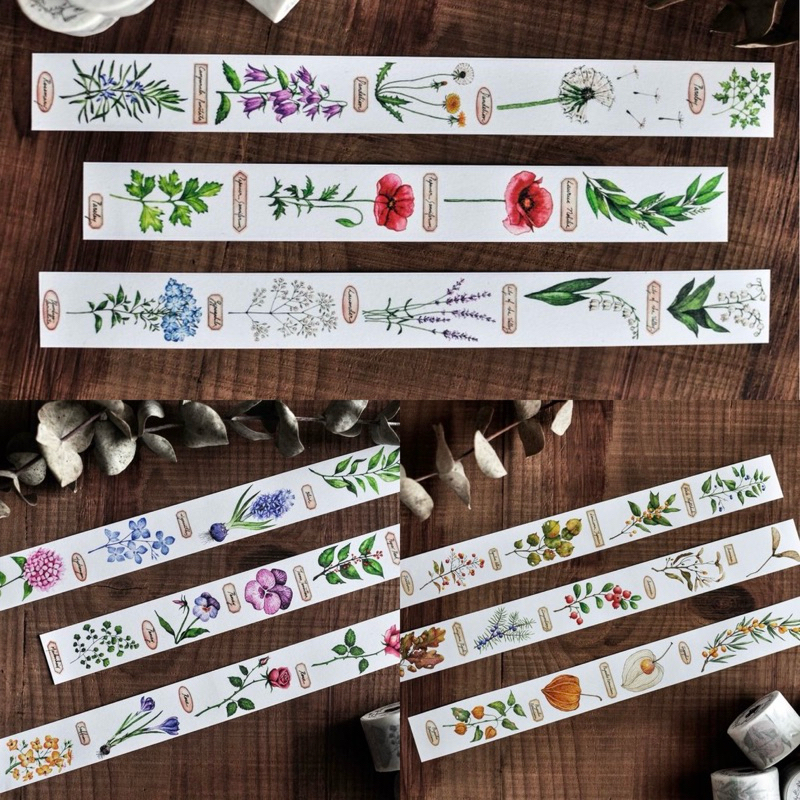 

[Sample per meter] Miao Stelle Forest Washi Tape