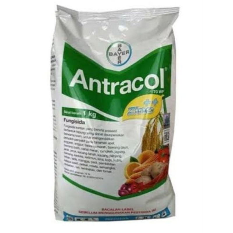 Antracol 1000g